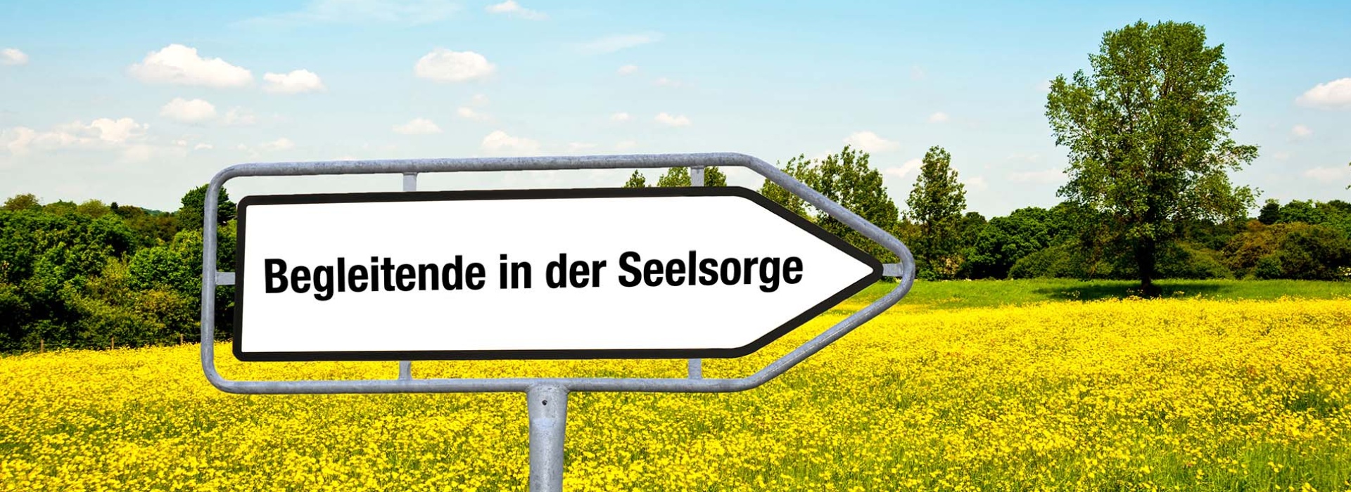 begleitende-in-der-seelsorge