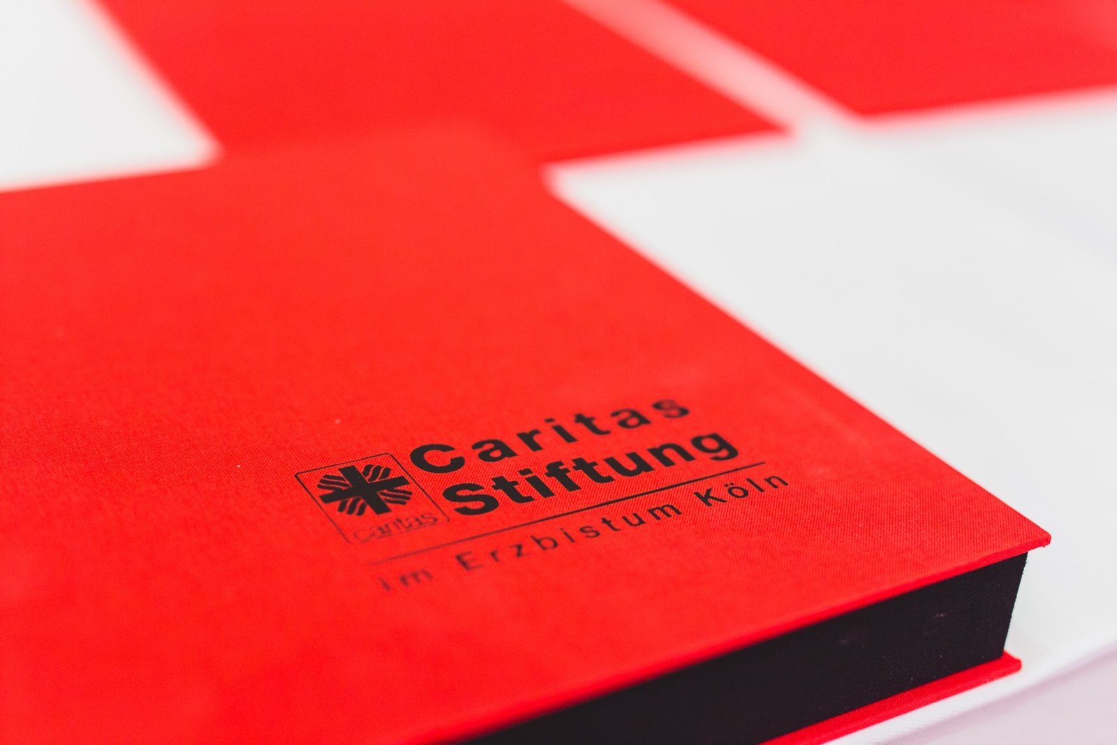 Elisabeth-Preis.jpg_1082981217 (c) CaritasStiftung im Erzbistum Köln